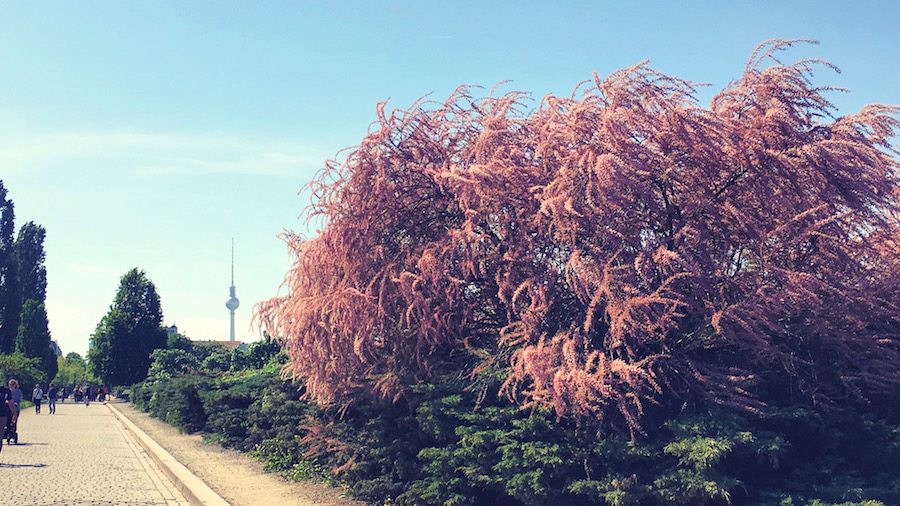 berlin-ick-liebe-dir-instagram-berlin-foto-kw-19-2016