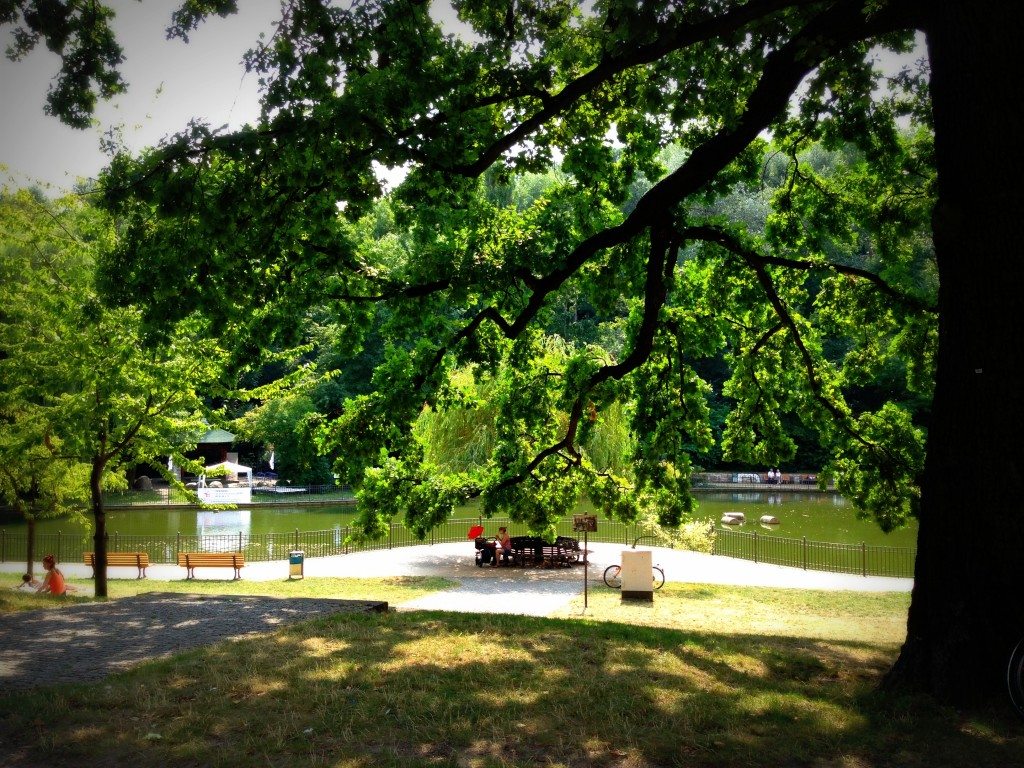 Berlin-Volkspark-Friedrichhain