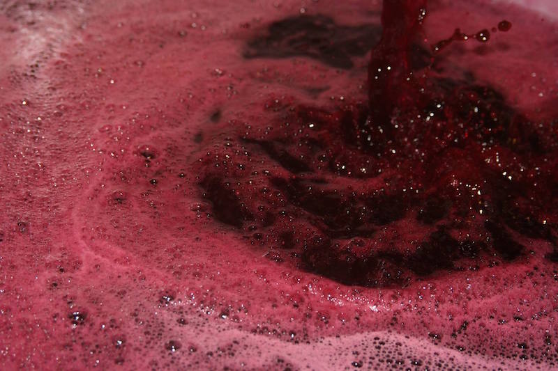 die-safterei-cold-pressed-juices-frisch-gepresster-saft