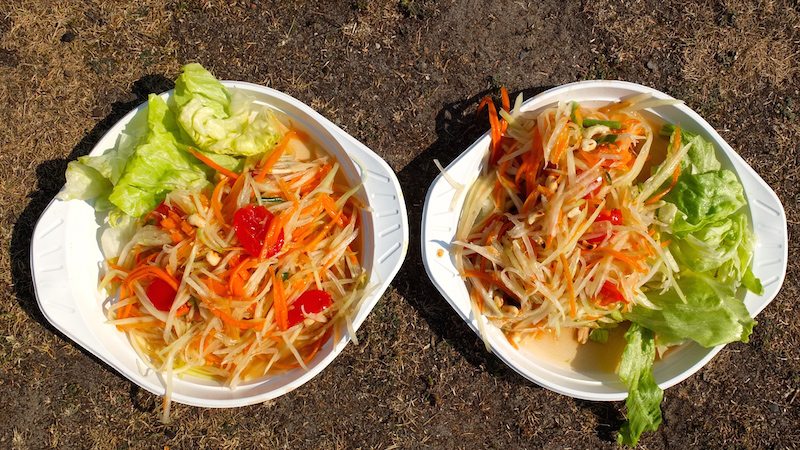 berlin-thai-park-preussenpark-papaya-salat-4